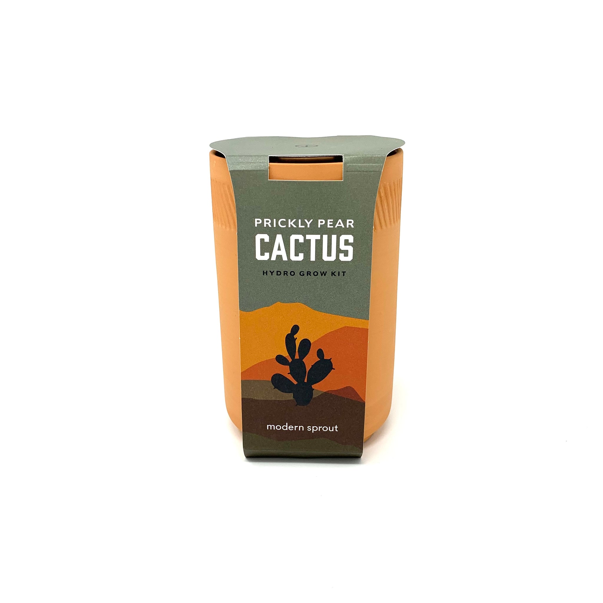 Terracotta Kit - Cactus